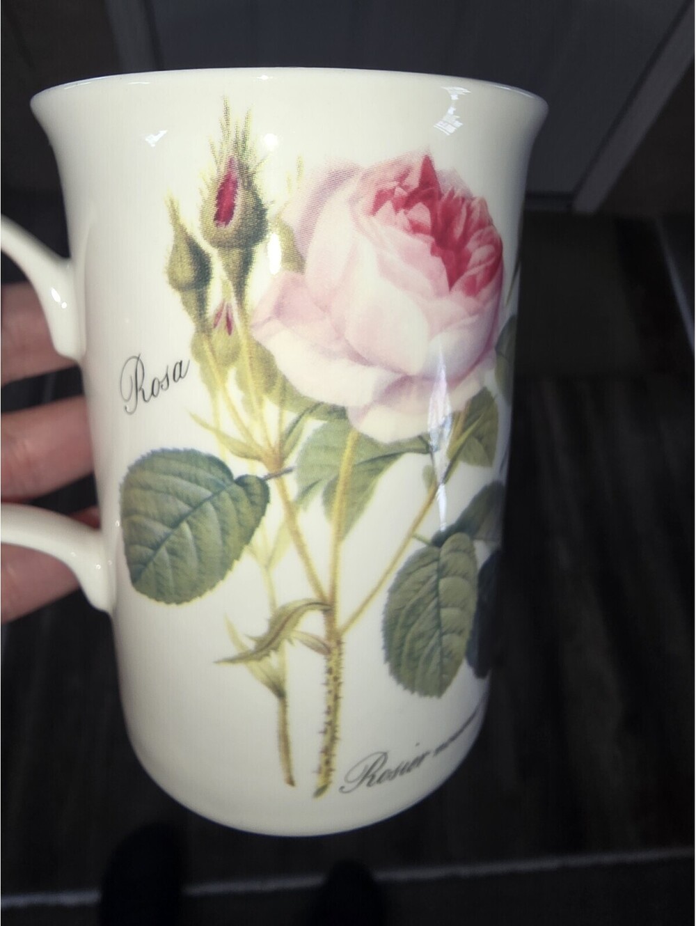 Roy Kirkham "Rosa" Fine Bone China Coffee Tea Cup Mug England